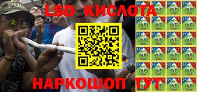 крисы Абакан