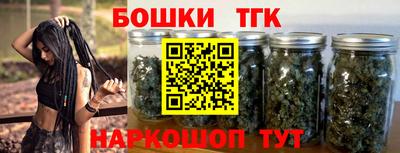крисы Абакан