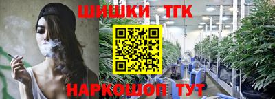 крисы Абакан