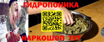 крисы Абакан