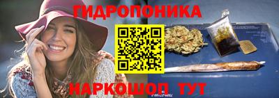 крисы Абакан