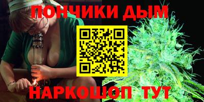 крисы Абакан