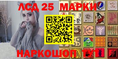 крисы Абакан