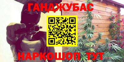 крисы Абакан