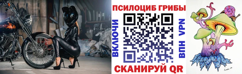 Галлюциногенные грибы Psilocybine cubensis  мориарти телеграм  Анжеро-Судженск 
