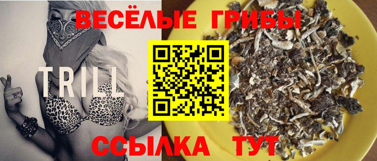 Анжеро-Судженск  Галлюциногенные грибы ЛСД  Вход с VPN 
